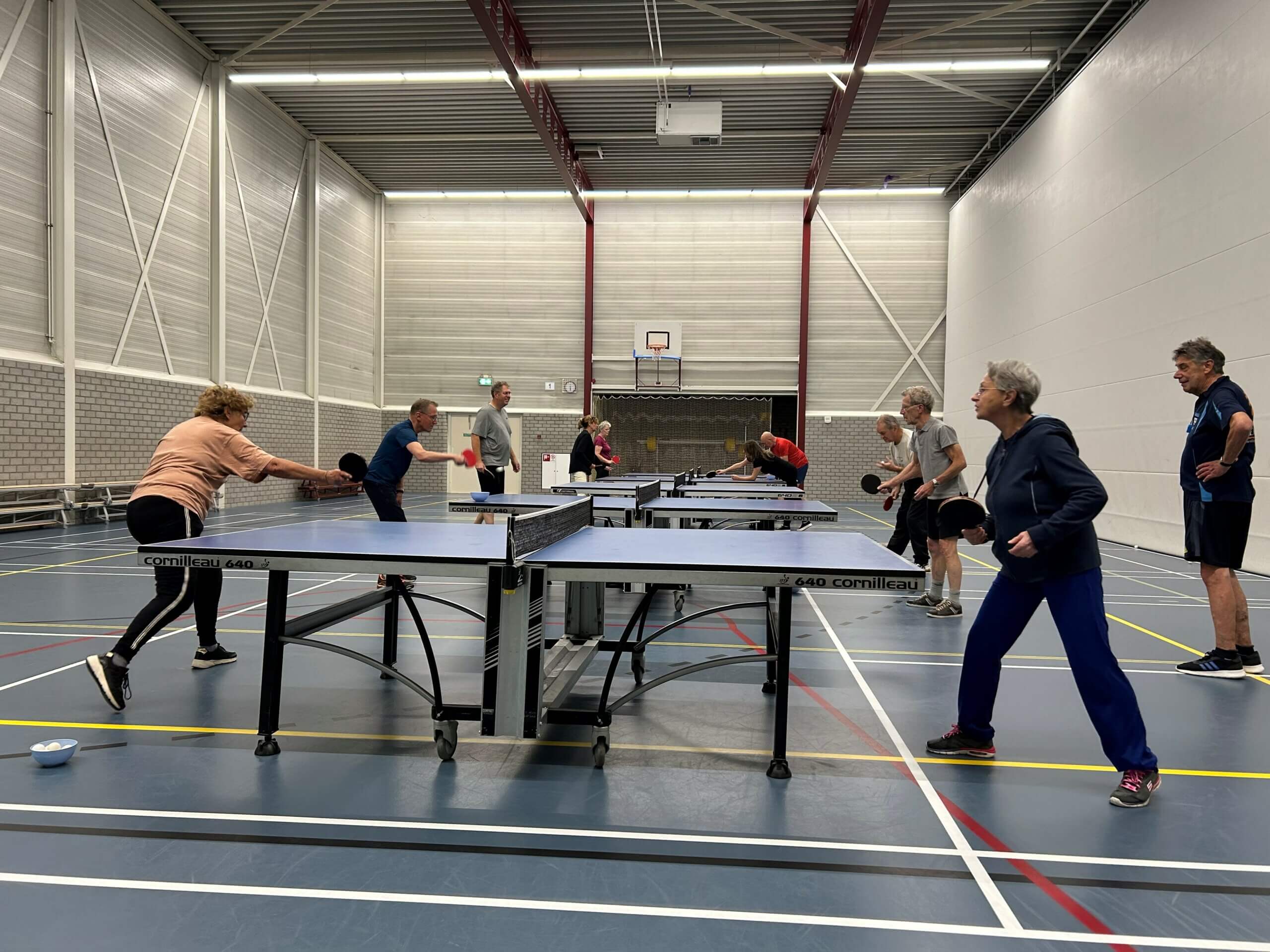 Fit door Vitaal Tafeltennis 55+